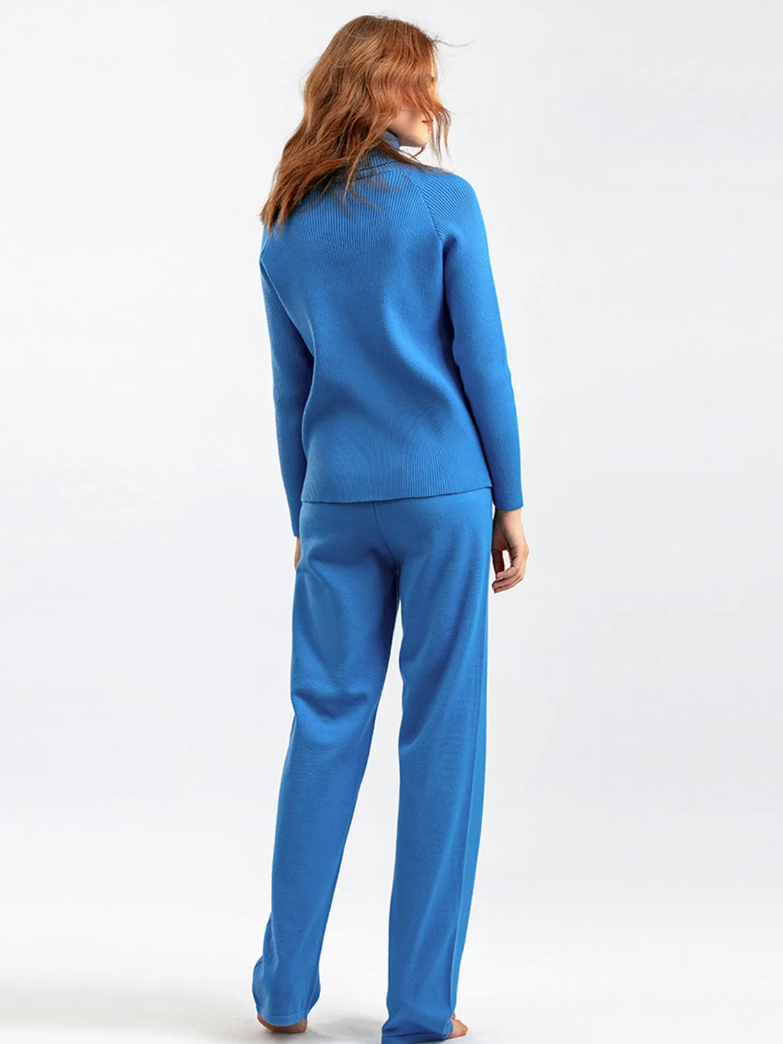 Turtleneck Raglan Sleeve Top and Pants Sweater Set